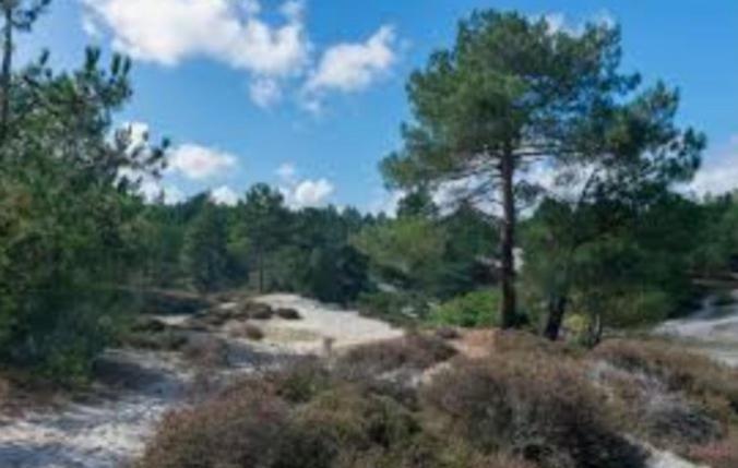 Huisje Finn, Met Grote Tuin En Veel Privacy Dirkshorn ภายนอก รูปภาพ